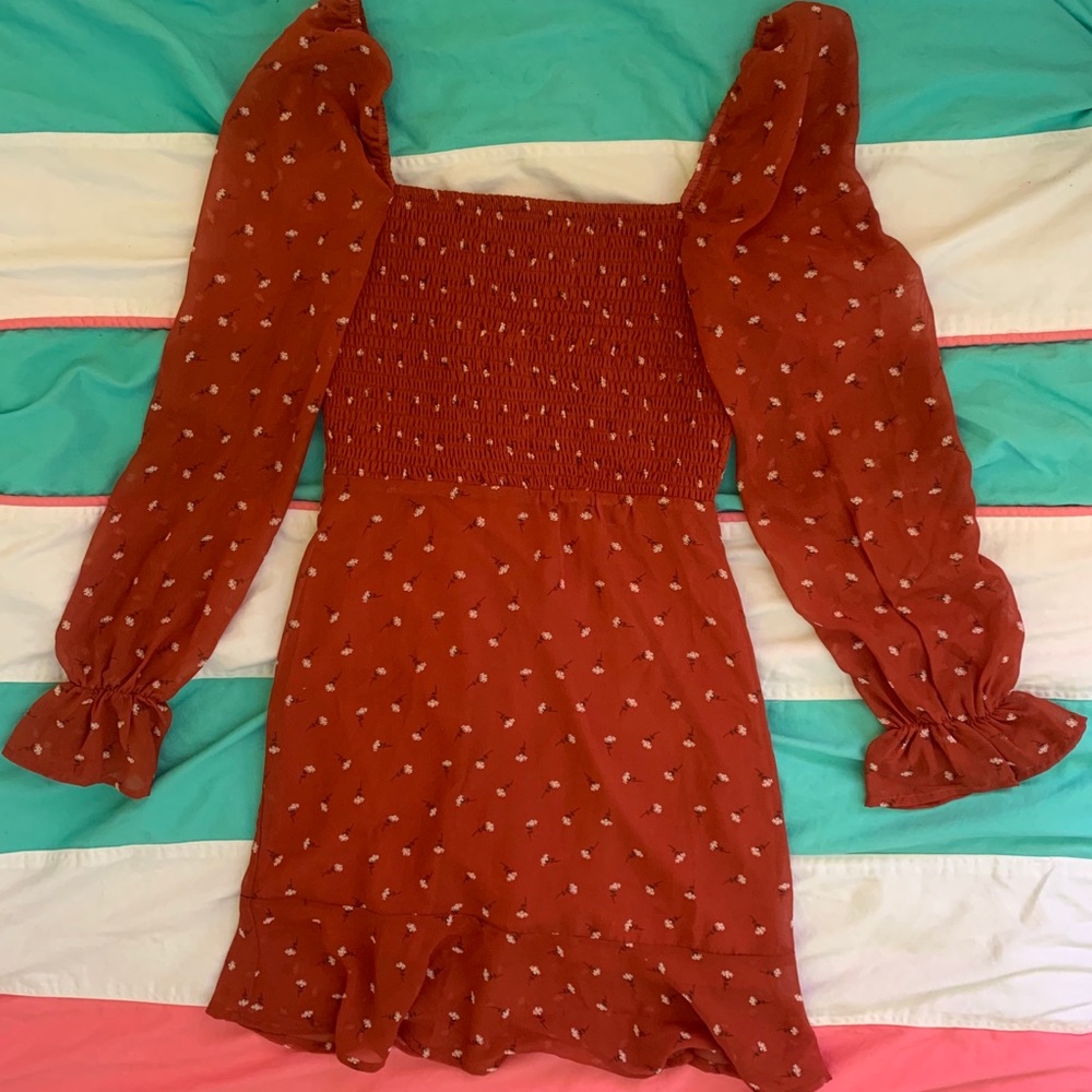 Francesca’s Cinnamon Dress